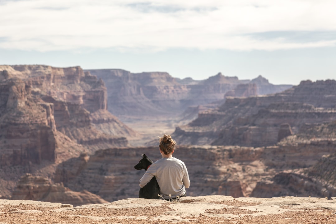 Valley Animal Friends: Unlikely Companions